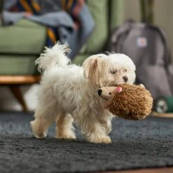 Frisco Camping Hedgehog Plush Squeaky Dog Toy -Cat Dog Supply Store 270995 PT3. AC SS1800 V1625009251