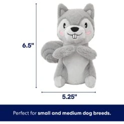 Frisco Camping Squirrel Plush Squeaky Dog Toy -Cat Dog Supply Store 271001 PT1. AC SS1800 V1686579631