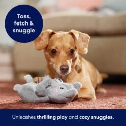 Frisco Camping Squirrel Plush Squeaky Dog Toy -Cat Dog Supply Store 271001 PT5. AC SS1800 V1691785245