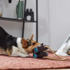 Frisco Camping Binoculars Plush With Rope Squeaky Dog Toy -Cat Dog Supply Store 271009 PT3. AC SS1800 V1625009167