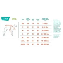 Frisco Mr. Claus Dog & Cat Costume -Cat Dog Supply Store 276142 PT1. AC SS1800 V1631912547