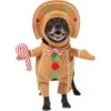 Frisco Front Walking Gingerbread Dog & Cat Costume -Cat Dog Supply Store 276156 MAIN. AC SS1800 V1631659697