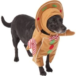 Frisco Front Walking Gingerbread Dog & Cat Costume -Cat Dog Supply Store 276156 PT3. AC SS1800 V1631660334