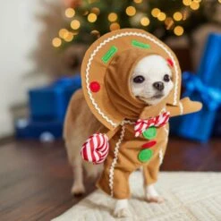 Frisco Front Walking Gingerbread Dog & Cat Costume -Cat Dog Supply Store 276156 PT8. AC SS1800 V1631568795