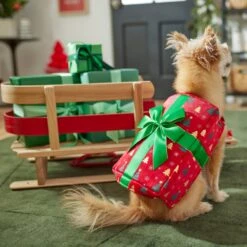 Frisco Holiday Giftbox Dog & Cat Costume -Cat Dog Supply Store 276175 PT8. AC SS1800 V1631574832