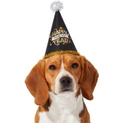 Frisco Happy New Year Dog & Cat Hat -Cat Dog Supply Store 276190 PT2. AC SS1800 V1631303599