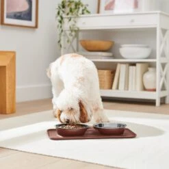 Frisco Silicone Stainless Steel Double Diner Dog & Cat Bowl, Brown -Cat Dog Supply Store 277551 PT2. AC SS1800 V1630346531
