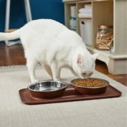 Frisco Silicone Stainless Steel Double Diner Dog & Cat Bowl, Brown -Cat Dog Supply Store 277551 PT3. AC SS1800 V1630348104