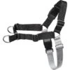 Frisco Basic No Pull Harness -Cat Dog Supply Store 277873 MAIN. AC SS1800 V1629758946