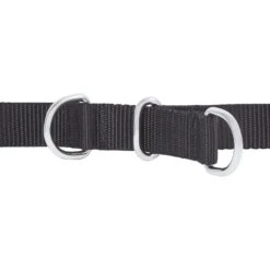 Frisco Basic No Pull Harness -Cat Dog Supply Store 277873 PT2. AC SS1800 V1629760100