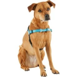 Frisco Padded Reflective No Pull Harness -Cat Dog Supply Store 277892 PT3. AC SS1800 V1629758833