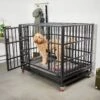 Frisco Ultimate Foldable & Stackable Heavy Duty Steel Metal Single Door Dog Crate 2 Frisco Ultimate Foldable & Stackable Heavy Duty Steel Metal Single Door Dog Crate -Cat Dog Supply Store 280395 MAIN. AC SS1800 V1632851201