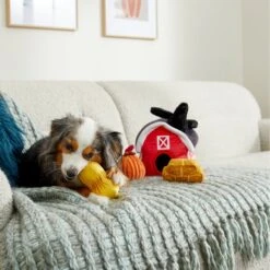 Frisco Fall Farmhouse Hide & Seek Puzzle Plush Squeaky Dog Toy -Cat Dog Supply Store 285629 PT3. AC SS1800 V1629725107