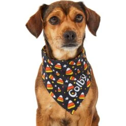 Frisco Candy Corn Personalized Dog & Cat Bandana 17 Frisco Candy Corn Personalized Dog & Cat Bandana -Cat Dog Supply Store 287056 PT6. AC SS1800 V1623246504