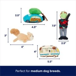 Frisco Holiday House Hide & Seek Puzzle Plush Squeaky Dog Toy -Cat Dog Supply Store 287083 PT2. AC SS1800 V1695046042