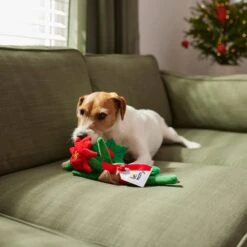 Frisco Flower Bouquet Plush Squeaky Dog Toy -Cat Dog Supply Store 287163 PT3. AC SS1800 V1632776821