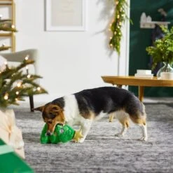 Frisco Holiday Tree Thin Plush Squeaky Dog Toy 9 Frisco Holiday Tree Thin Plush Squeaky Dog Toy -Cat Dog Supply Store 287167 PT3. AC SS1800 V1632773873