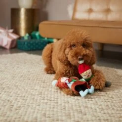 Frisco Holiday Carolers Plush Squeaky Dog Toy, 3 Count -Cat Dog Supply Store 287169 PT3. AC SS1800 V1632774907
