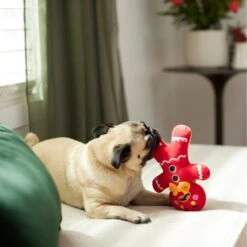 Frisco Holiday Naughty Or Nice Gingerbread Man Reversible Plush Squeaky Dog Toy 11 Frisco Holiday Naughty Or Nice Gingerbread Man Reversible Plush Squeaky Dog Toy -Cat Dog Supply Store 287217 PT3. AC SS1800 V1632775304