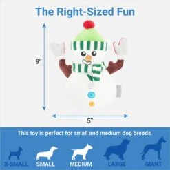 Frisco Holiday Naughty Or Nice Snowman Reversible Plush Squeaky Dog Toy -Cat Dog Supply Store 287219 PT2. AC SS1800 V1637704003