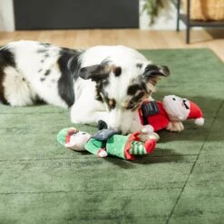 Frisco Holiday Bad Santa & Elf Plush Squeaky Dog Toy -Cat Dog Supply Store 287223 PT3. AC SS1800 V1632773570