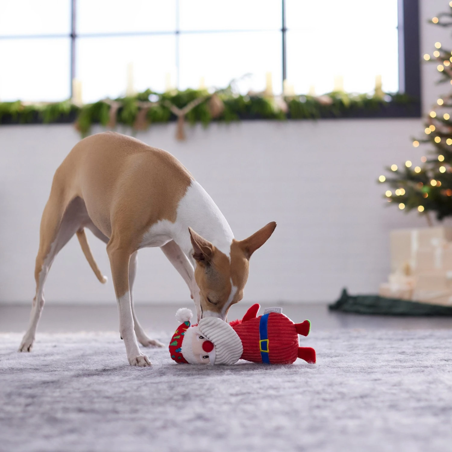 Frisco Holiday Santa & Snowman Reversible Plush Squeaky Dog Toy 6 Frisco Holiday Santa & Snowman Reversible Plush Squeaky Dog Toy - Image 4