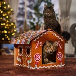 Frisco Holiday Gingerbread House Cardboard Cat House Cat Toy -Cat Dog Supply Store 287289 PT4. AC SS1800 V1694813217