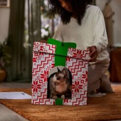 Frisco Holiday Gift Box Cardboard Cat House -Cat Dog Supply Store 287291 PT3. AC SS1800 V1695043502