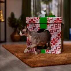 Frisco Holiday Gift Box Cardboard Cat House -Cat Dog Supply Store 287291 PT4. AC SS1800 V1695045716