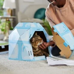 Frisco Igloo Cardboard Cat House -Cat Dog Supply Store 287293 PT3. AC SS1800 V1692035199