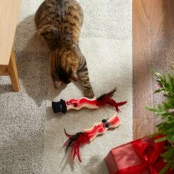 Frisco Holiday Bacon Plush Cat Toy With Catnip, 2 Count -Cat Dog Supply Store 287377 PT3. AC SS1800 V1632773555