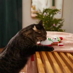 Frisco Naughty Or Nice Snowman Reversible Plush Cat Toy With Catnip -Cat Dog Supply Store 287387 PT3. AC SS1800 V1632774541