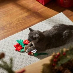 Frisco Flower Bouquet Plush Cat Toy With Catnip -Cat Dog Supply Store 287395 PT3. AC SS1800 V1632774747