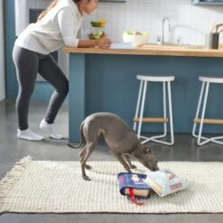 Frisco Cookbooks Plush Squeaky Dog Toy, 2 Count -Cat Dog Supply Store 288937 PT3. AC SS1800 V1638287852