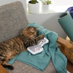 Frisco Scale & Message Bubble Plush Cat Toy With Catnip, 2 Count -Cat Dog Supply Store 288959 PT3. AC SS1800 V1638288401