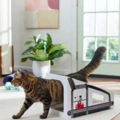 Frisco Treadmill Cardboard Cat House 9 Frisco Treadmill Cardboard Cat House -Cat Dog Supply Store 288967 PT3. AC SS1800 V1638288289