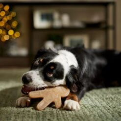 Frisco Nylon Gingerbread Dog Chew Toy, Beef Flavor, Medium -Cat Dog Supply Store 291385 PT3. AC SS1800 V1668108316