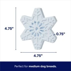 Frisco Holiday Nylon Snowflake Dog Chew Toy, Peanut Butter Flavor, Medium -Cat Dog Supply Store 291387 PT1. AC SS1800 V1695046039