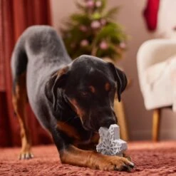 Frisco Holiday Nylon Snowflake Dog Chew Toy, Peanut Butter Flavor, Medium -Cat Dog Supply Store 291387 PT3. AC SS1800 V1629306692