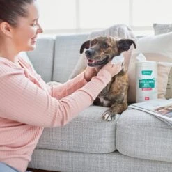 Frisco Gentle Cleaning Waterless Grooming Wipes For Puppies & Kittens, Green Tea Scent -Cat Dog Supply Store 291592 PT4. AC SS1800 V1627306695