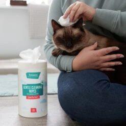 Frisco Gentle Cleaning Waterless Grooming Wipes For Puppies & Kittens, Green Tea Scent -Cat Dog Supply Store 291592 PT5. AC SS1800 V1627306905