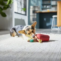 Frisco Brunch Bloody Mary Plush Squeaky Dog Toy 7 Frisco Brunch Bloody Mary Plush Squeaky Dog Toy -Cat Dog Supply Store 297228 PT2. AC SS1800 V1642088343