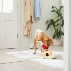 Frisco Brunch Pancake Hide & Seek Puzzle Plush Squeaky Dog Toy -Cat Dog Supply Store 297266 PT3. AC SS1800 V1642087986