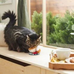 Frisco Brunch Teacup Plush Cat Toy With Catnip -Cat Dog Supply Store 297292 PT2. AC SS1800 V1642088843