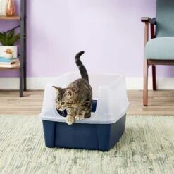 Frisco Plastic Litter Scooper With Caddy & IRIS USA Open Top Litter Box With Scatter Shield -Cat Dog Supply Store 298166 PT6. AC SS1800 V1623202669