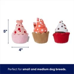 Frisco Valentine Cupcakes Plush Squeaky Dog Toy -Cat Dog Supply Store 298913 PT1. AC SS1800 V1701365132