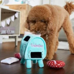 Frisco Valentine Love Letters Hide & Seek Puzzle Plush Squeaky Dog Toy -Cat Dog Supply Store 298929 PT3. AC SS1800 V1638987486