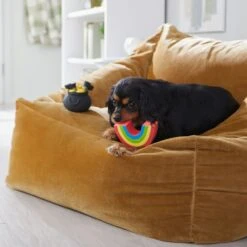 Frisco St. Patrick's Rainbow And Pot Of Gold Latex Squeaky Dog Toy -Cat Dog Supply Store 303136 PT4. AC SS1800 V1702500566