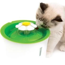 Catit Flower Plastic Cat Fountain & Frisco Pet Toy & Bowl Cleaning Wipes, 70 Count -Cat Dog Supply Store 303288 PT4. AC SS1800 V1623043360