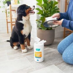 Catit Flower Plastic Cat Fountain & Frisco Pet Toy & Bowl Cleaning Wipes, 70 Count -Cat Dog Supply Store 303288 PT7. AC SS1800 V1623047247